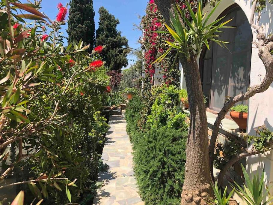 Villa Kasteli - Secret Beauty In The Mountains Karystos  Ngoại thất bức ảnh